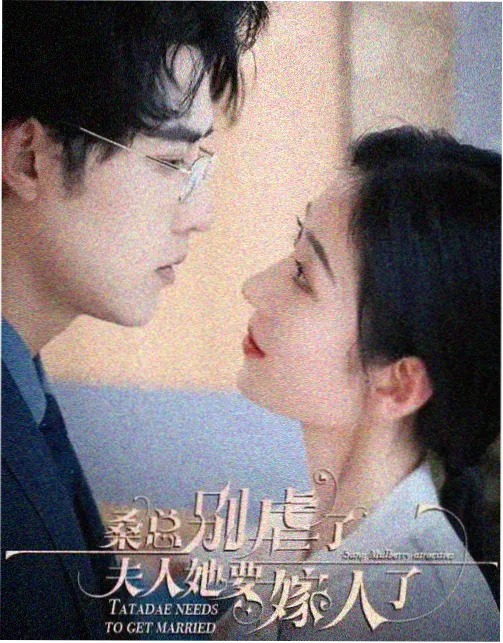 长篇连续剧类货架标签示意图